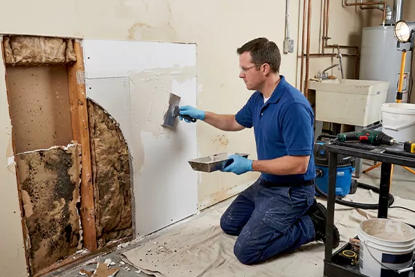 Mold and Drywall Repair Colleyville