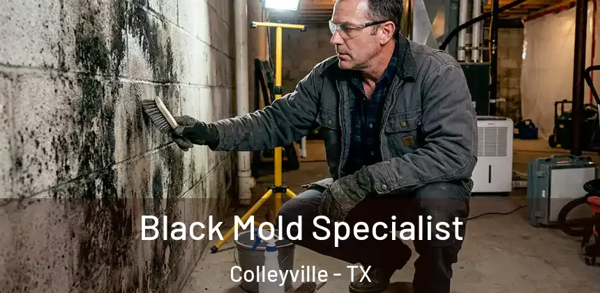  Black Mold Specialist Colleyville - TX