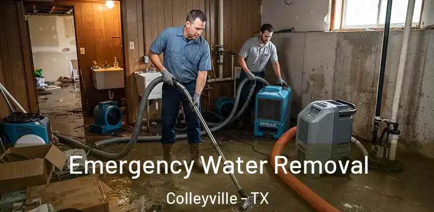  Emergency Water Removal Colleyville - TX