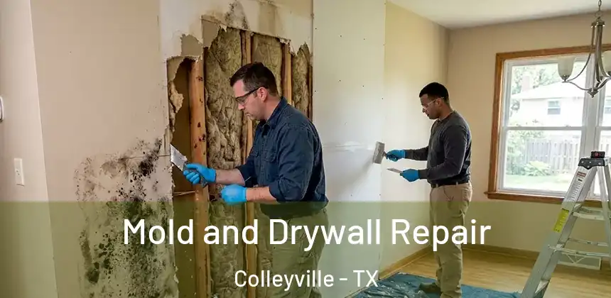  Mold and Drywall Repair Colleyville - TX
