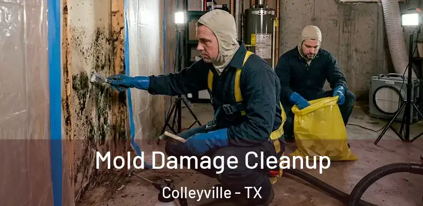  Mold Damage Cleanup Colleyville - TX