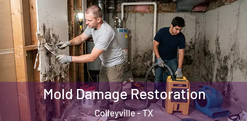  Mold Damage Restoration Colleyville - TX