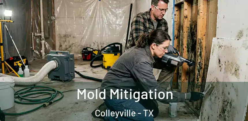  Mold Mitigation Colleyville - TX