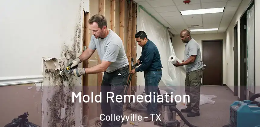  Mold Remediation Colleyville - TX