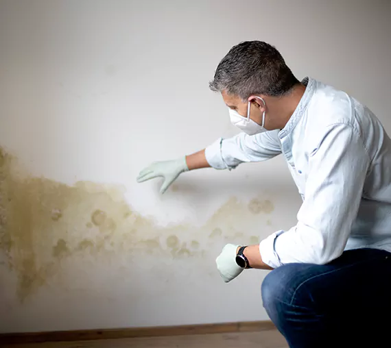 Mold Removal Service in Colleyville, TX