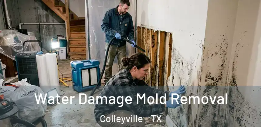  Water Damage Mold Removal Colleyville - TX