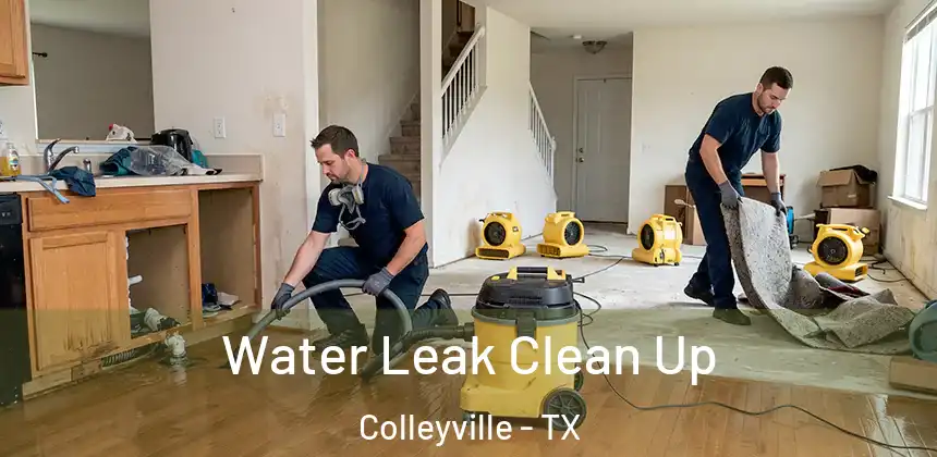  Water Leak Clean Up Colleyville - TX