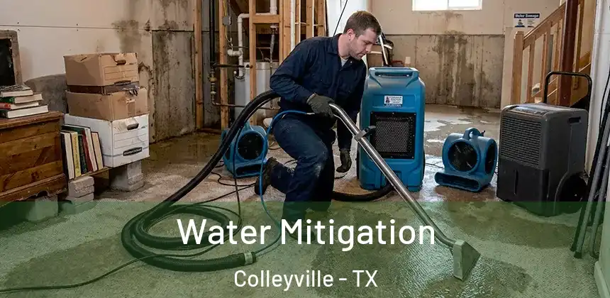  Water Mitigation Colleyville - TX